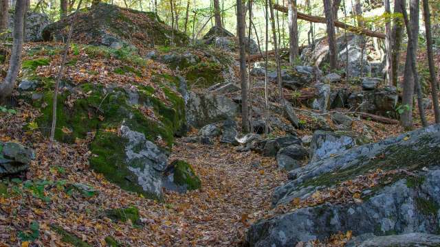 One Redditor revealed the shocking defacement of ancient petroglyphs in Northern Virginia.