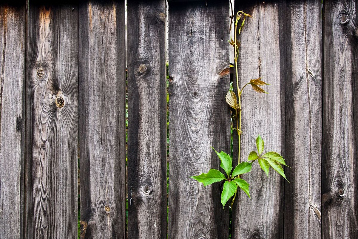 One person went to r/BadNeighbors to share about their neighbor's yard that was filled with trash.