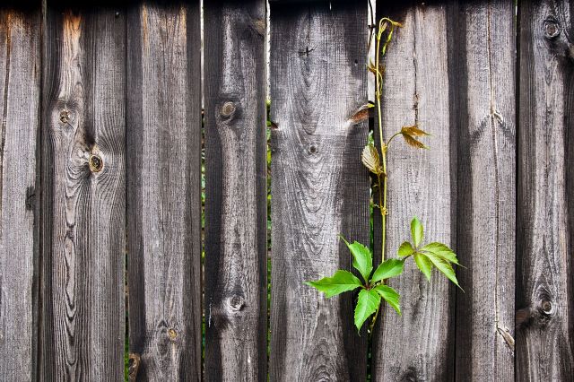 One person went to r/BadNeighbors to share about their neighbor's yard that was filled with trash.