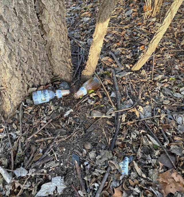 A Redditor shared gut-wrenching photos of the litter at their local park, hoping to inspire positive change.