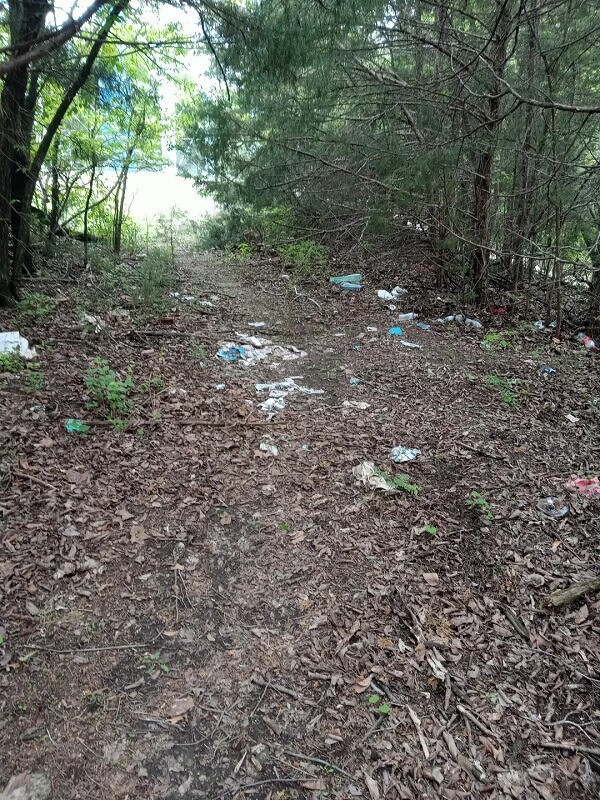 A Kansas local shared a satisfying cleanup of a litter-strewn woods, transforming it into a peaceful nature spot.