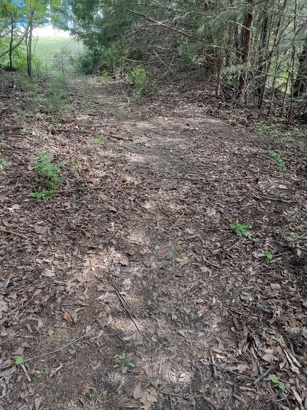 A Kansas local shared a satisfying cleanup of a litter-strewn woods, transforming it into a peaceful nature spot.