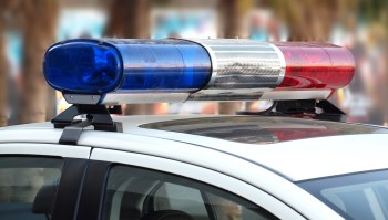 Authorities in Malaysia stopped a smuggling attempt involving one of the world's most endangered species.