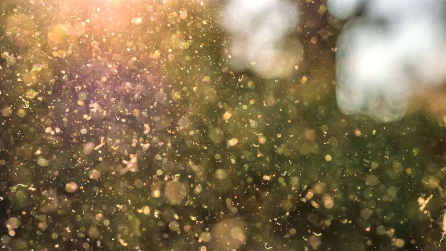 Experts warned that pollen was on the rise and that allergy season was imminent across much of the United States.