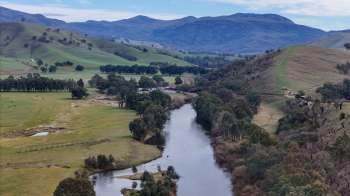 Researchers analyzed over 496,000 frog records to uncover which types of land show the highest frog diversity.
