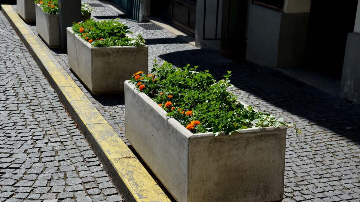 In a saddening Reddit post, a homeowner shared how their efforts to restore a small public flower bed were repeatedly undone by a hostile neighbor.
