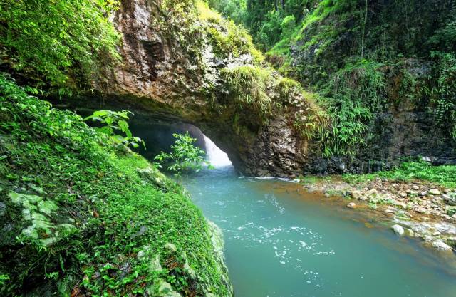 Australian researchers discovered the lost Ptilotus senarius wildflower in a remote corner of Queensland.