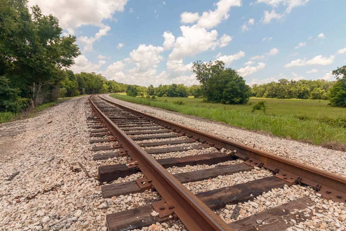 Train track repair workers in Texas didn't hesitate to rescue an injured raccoon they found on the job.