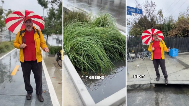 Many cities treat rainfall like a problem to eliminate, but Los Angeles is rethinking its relationship with water, using rain gardens.