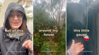 An Arizona homeowner went viral for showing how she saves rainwater with her DIY setup to harvest water in the desert.