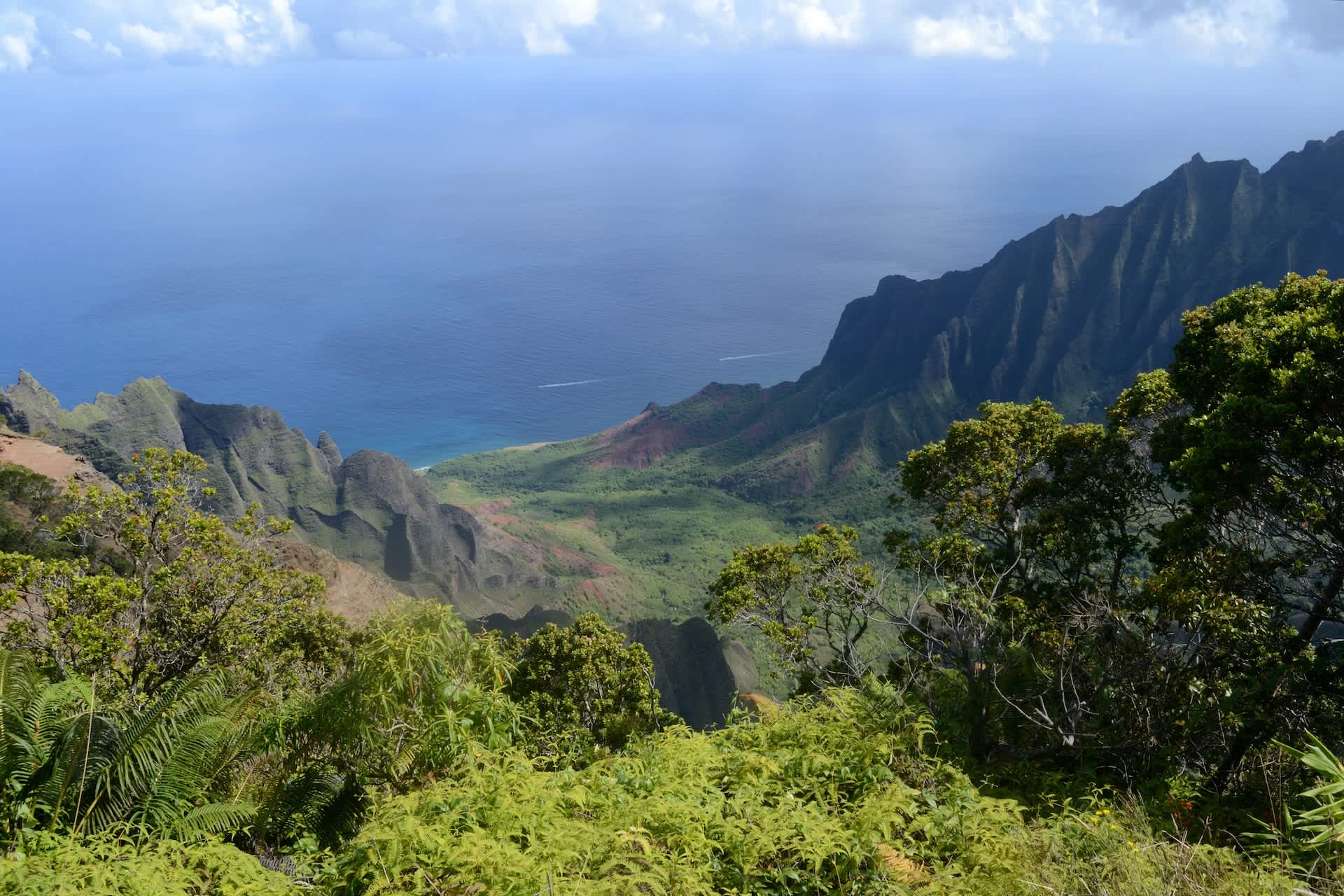 Researchers issue warning as harmful creatures spread across US territory: 'They can cause huge devastation'