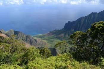 The very hungry caterpillar plaguing Hawai'i isn't a beloved children's book protagonist — it's a voracious invasive species threatening the islands' economy and ecosystems.
