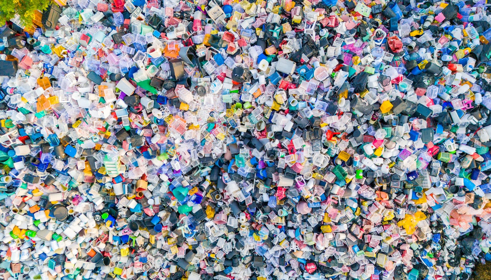 University students make groundbreaking discovery that could solve major problem with common waste: 'Making real change possible'