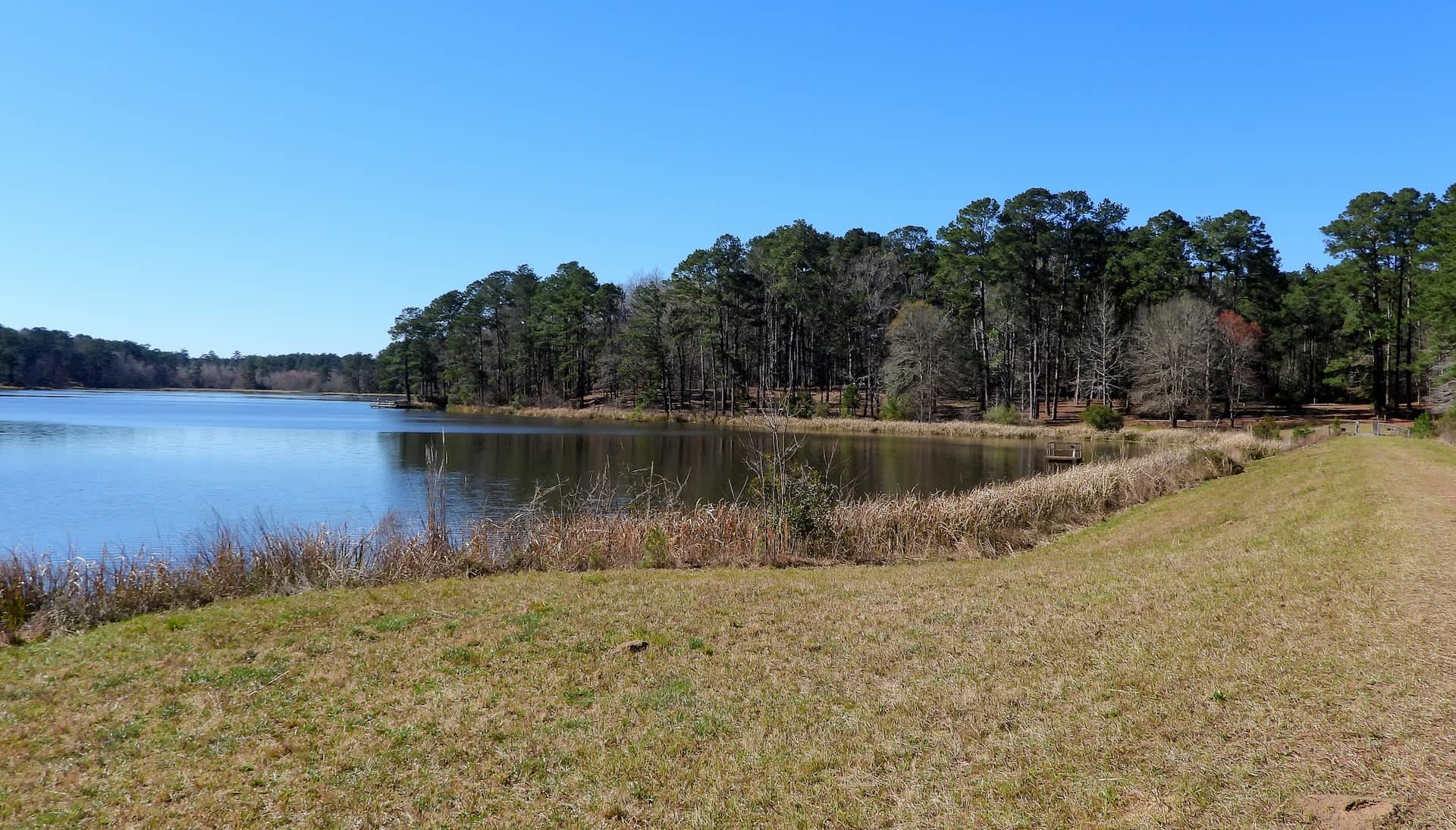 Scientists confirm rare creatures' return from brink of extinction: 'An indicator that we're doing what we need to do'