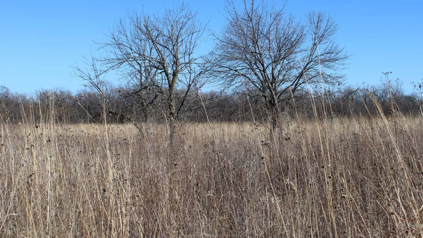 The Chicago area's fire weather watch is now a red flag warning, caused by a combination of weather factors that create prime conditions for wildfires.