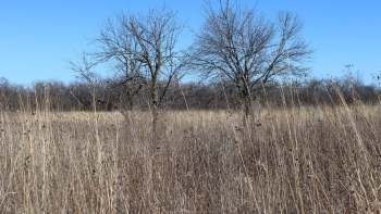 The Chicago area's fire weather watch is now a red flag warning, caused by a combination of weather factors that create prime conditions for wildfires.