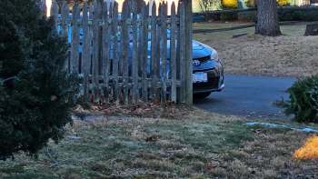A red-tailed hawk made itself at home on a Massachusetts fence post after hunting for squirrels.