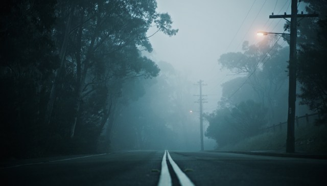 Officials in Taiwan confirmed that a leopard cat was found dead on the side of the road, highlighting the dangers wildlife faces as human development encroaches on natural habitats.