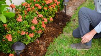 One Reddit user got some unique advice from the r/vegetablegardening community about how to deal with a garden contaminated by rubber mulch.