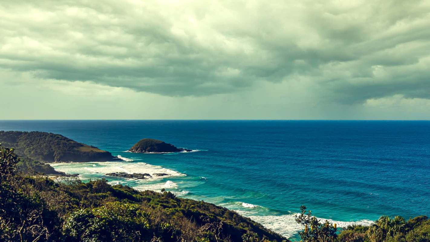 A series of mortality events shook Tasmanian fish farms last year, leading to the deaths of millions of salmon.