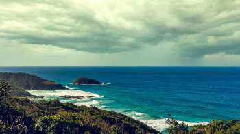 A series of mortality events shook Tasmanian fish farms last year, leading to the deaths of millions of salmon.