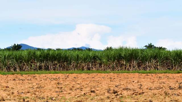 Farmers in Fiji are fighting to sustain their livelihoods as repeated inundations of saltwater from the South Pacific ravage their crops.