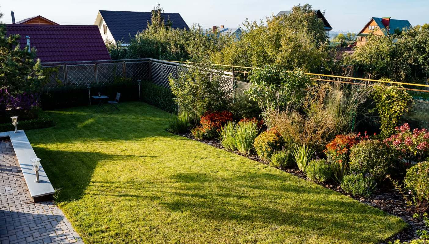 One Florida resident had sandhill cranes visiting his backyard each day, and fellow Redditors loved hearing about the experience.