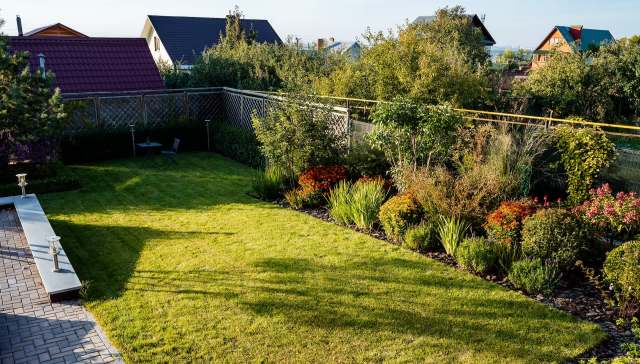 One Florida resident had sandhill cranes visiting his backyard each day, and fellow Redditors loved hearing about the experience.