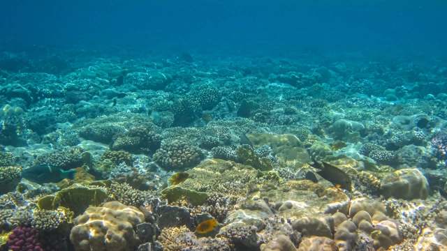 The National Oceanic and Atmospheric Administration recently finalized a rule designed to speed up approvals for seabed mining.