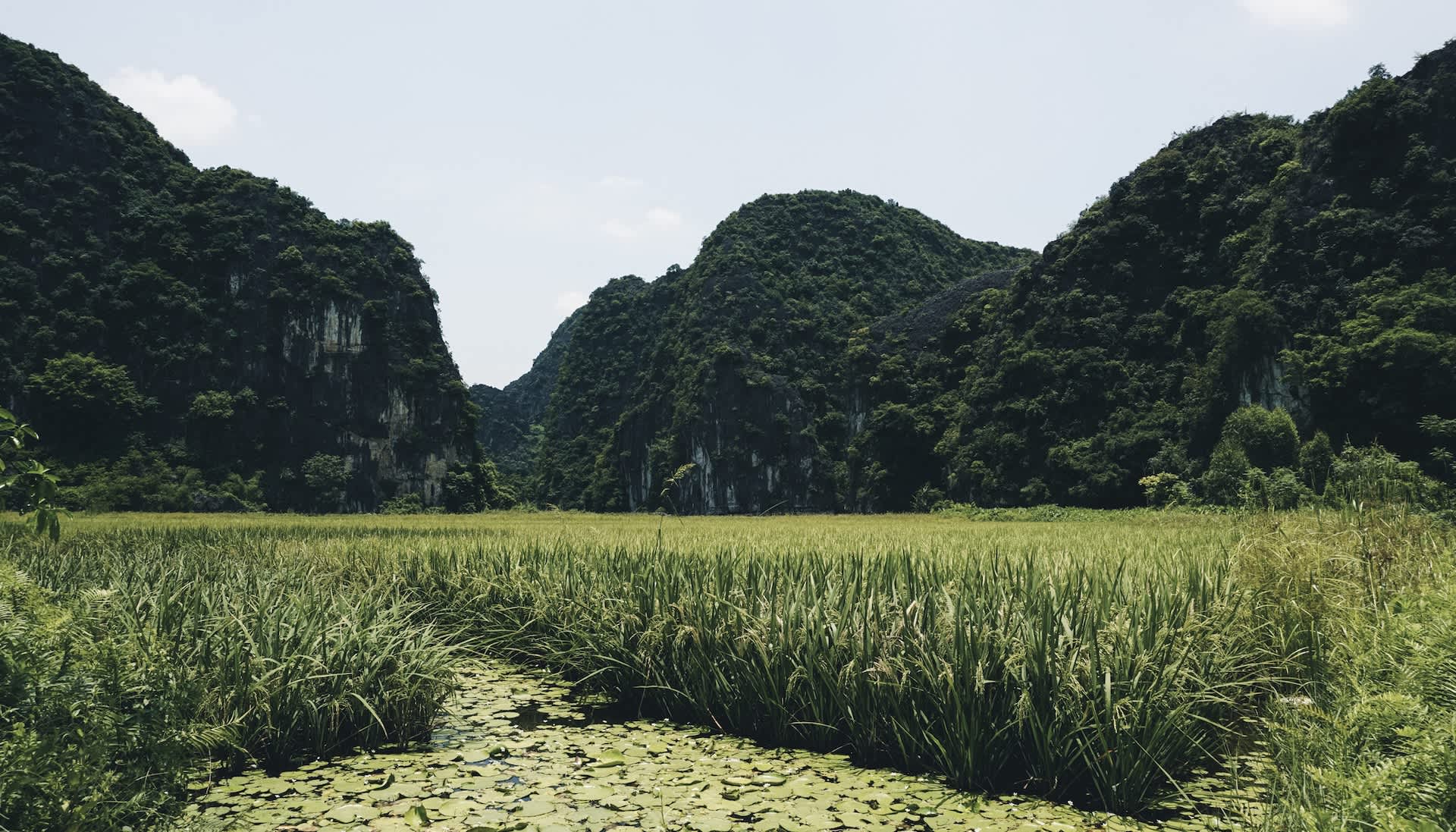 Researchers use drones to capture rare images of elusive creatures&nbsp;— here are the details