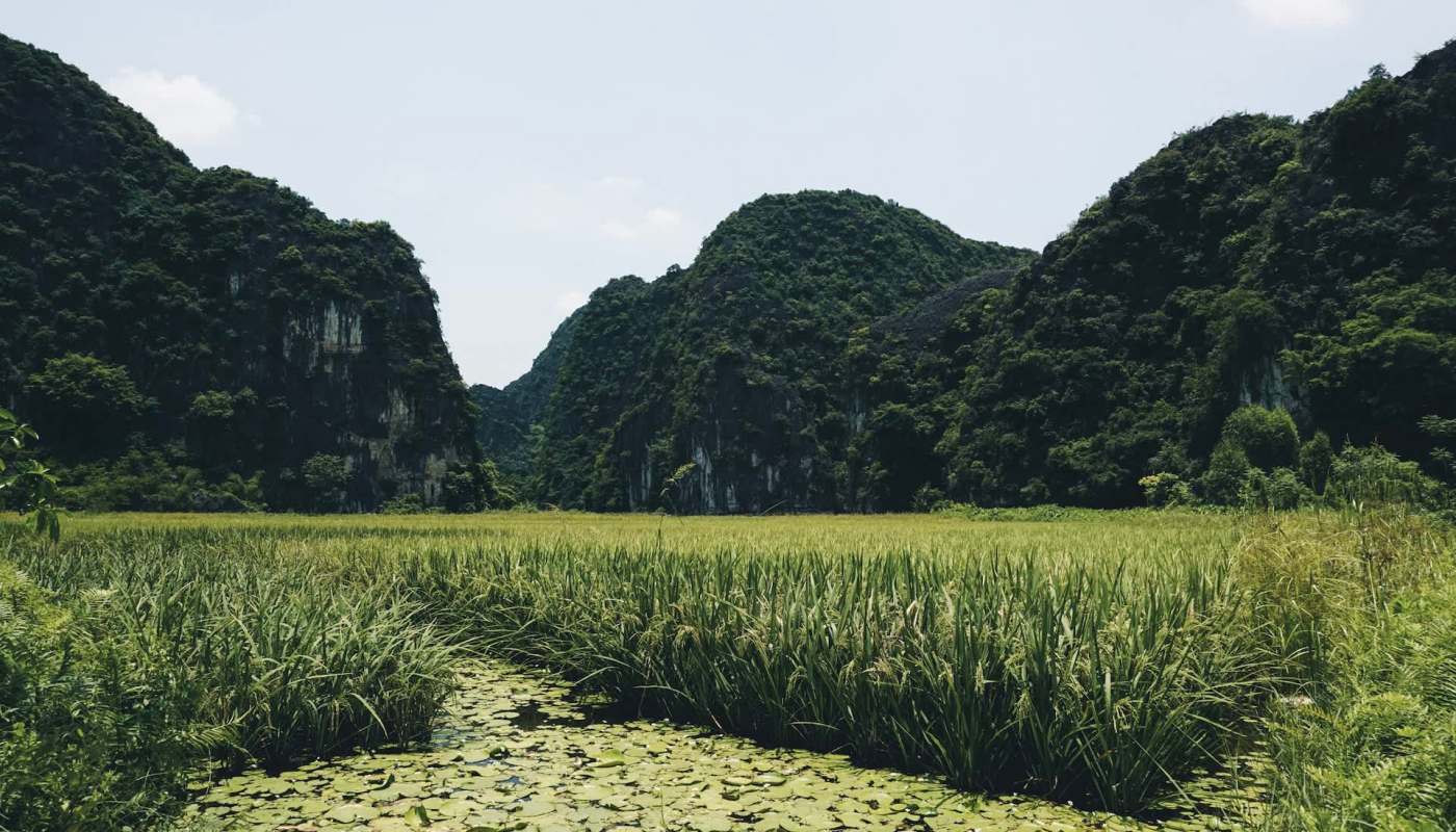 Biologists have documented the presence of an endangered serow and its baby in a limestone forest in Vietnam.