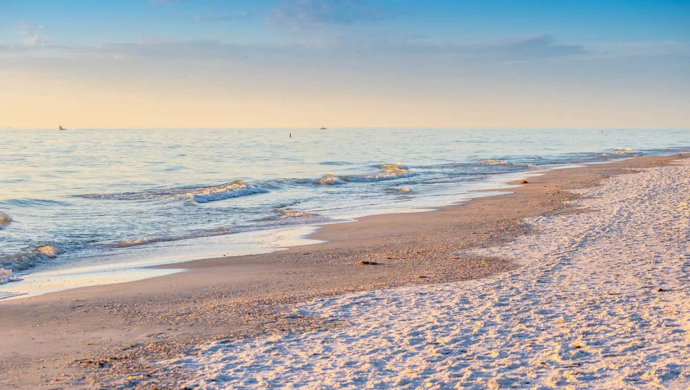 Rising acidity in Earth's oceans could be weakening sharks' teeth, potentially inhibiting the predators' ability to capture prey.