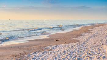 Rising acidity in Earth's oceans could be weakening sharks' teeth, potentially inhibiting the predators' ability to capture prey.