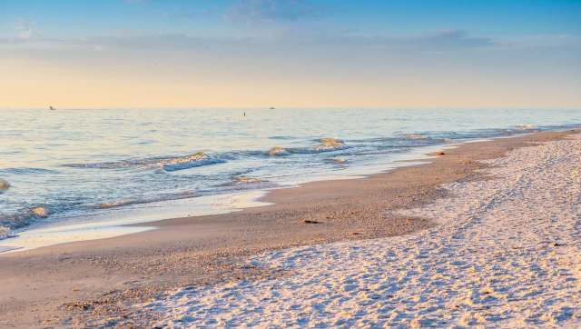 Rising acidity in Earth's oceans could be weakening sharks' teeth, potentially inhibiting the predators' ability to capture prey.