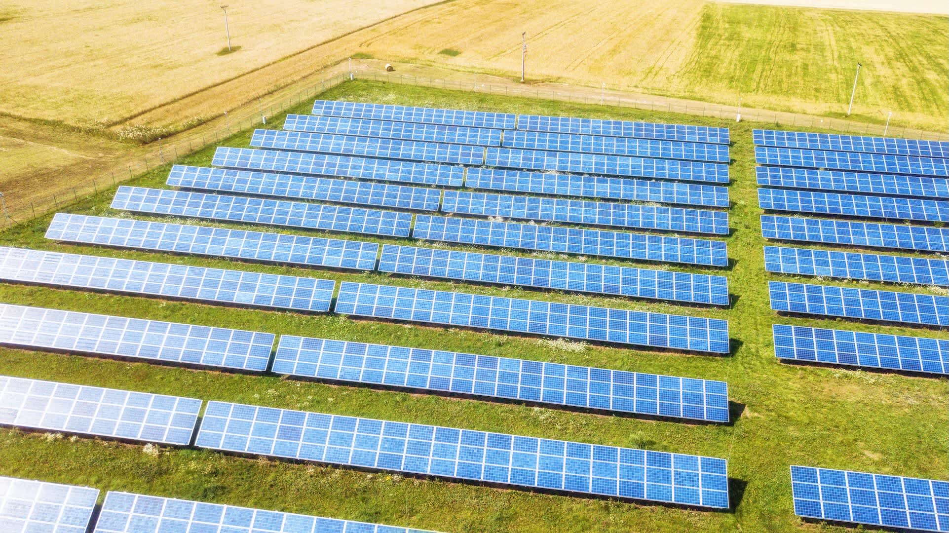 Farmer urges Americans to shift attention to overlooked meat source: 'I had to do something different'