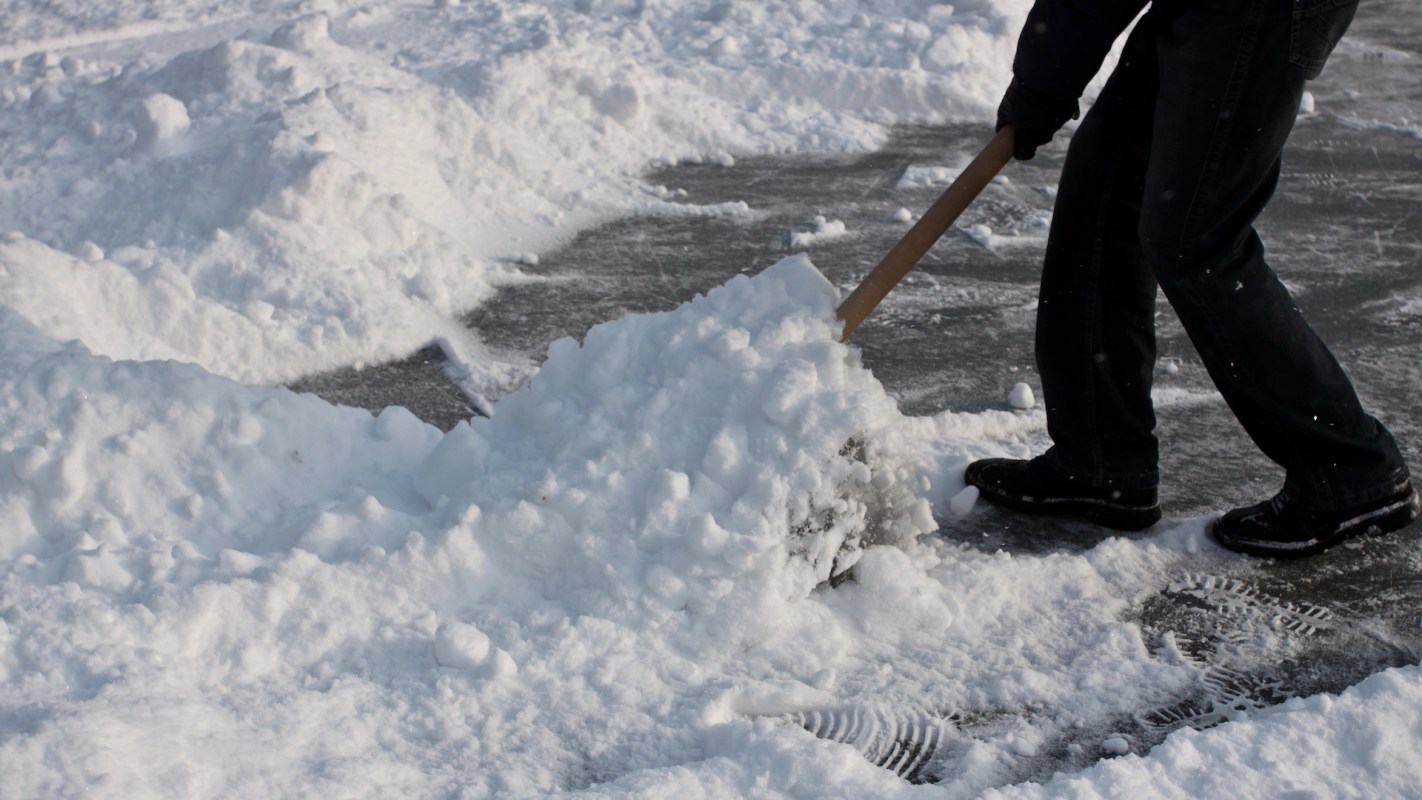 A Providence man discovered a tegu lizard struggling beneath nearly two feet of snow and saved its life.