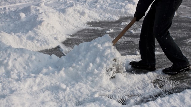 A Providence man discovered a tegu lizard struggling beneath nearly two feet of snow and saved its life.