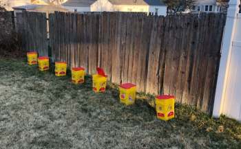 One Redditor shared their side flower garden's progress over three years.