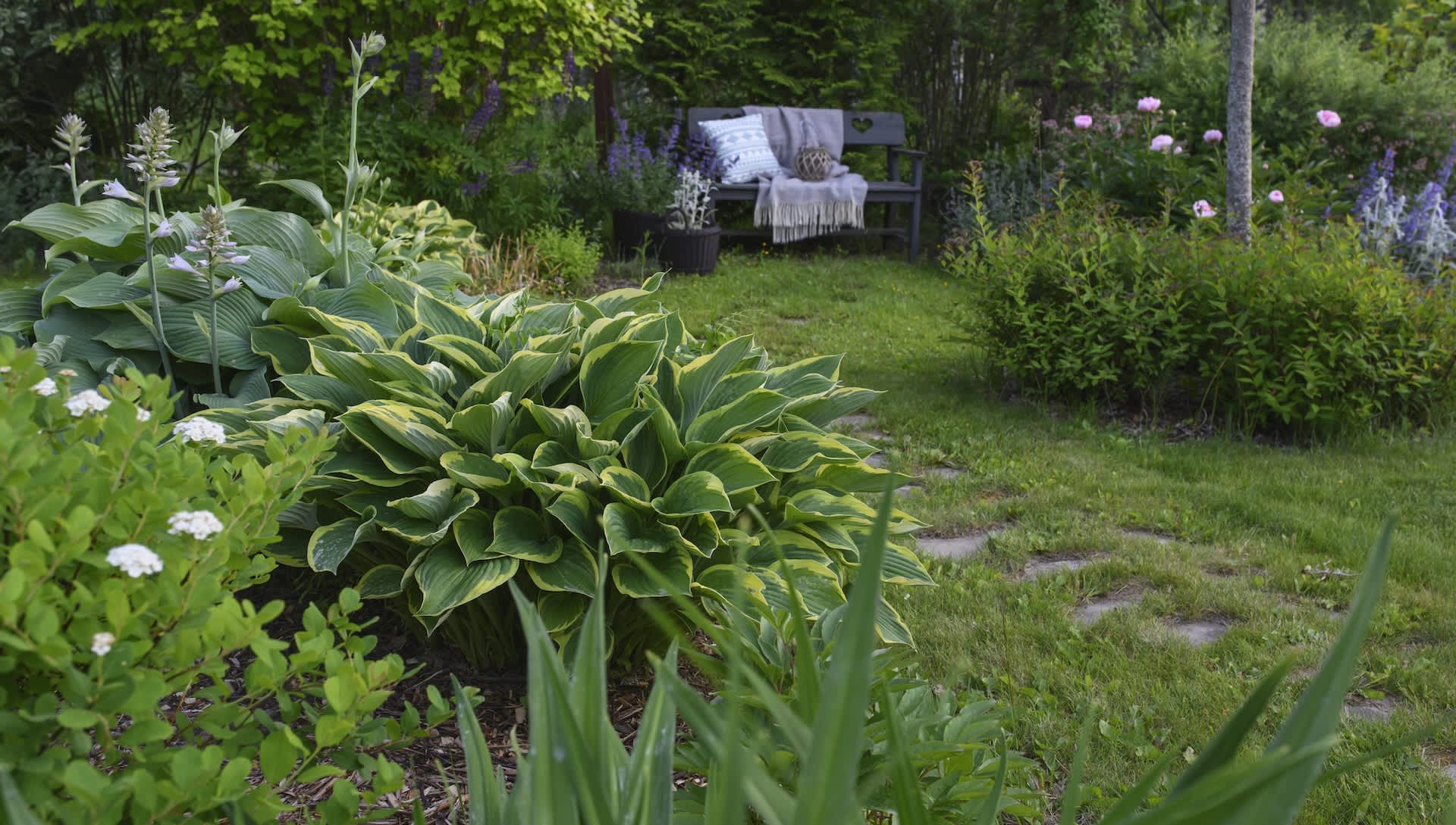 Gardener shares video after spotting adorable scene in backyard: 'Beautiful"