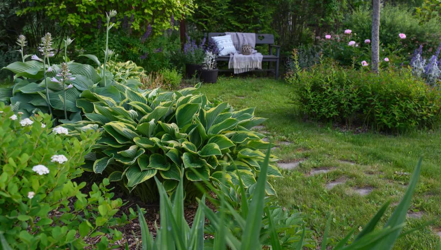 One Redditor experienced such a moment, waking up to a friendly visitor in their backyard, and posted in the r/foxes subreddit.