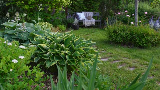 One Redditor experienced such a moment, waking up to a friendly visitor in their backyard, and posted in the r/foxes subreddit.