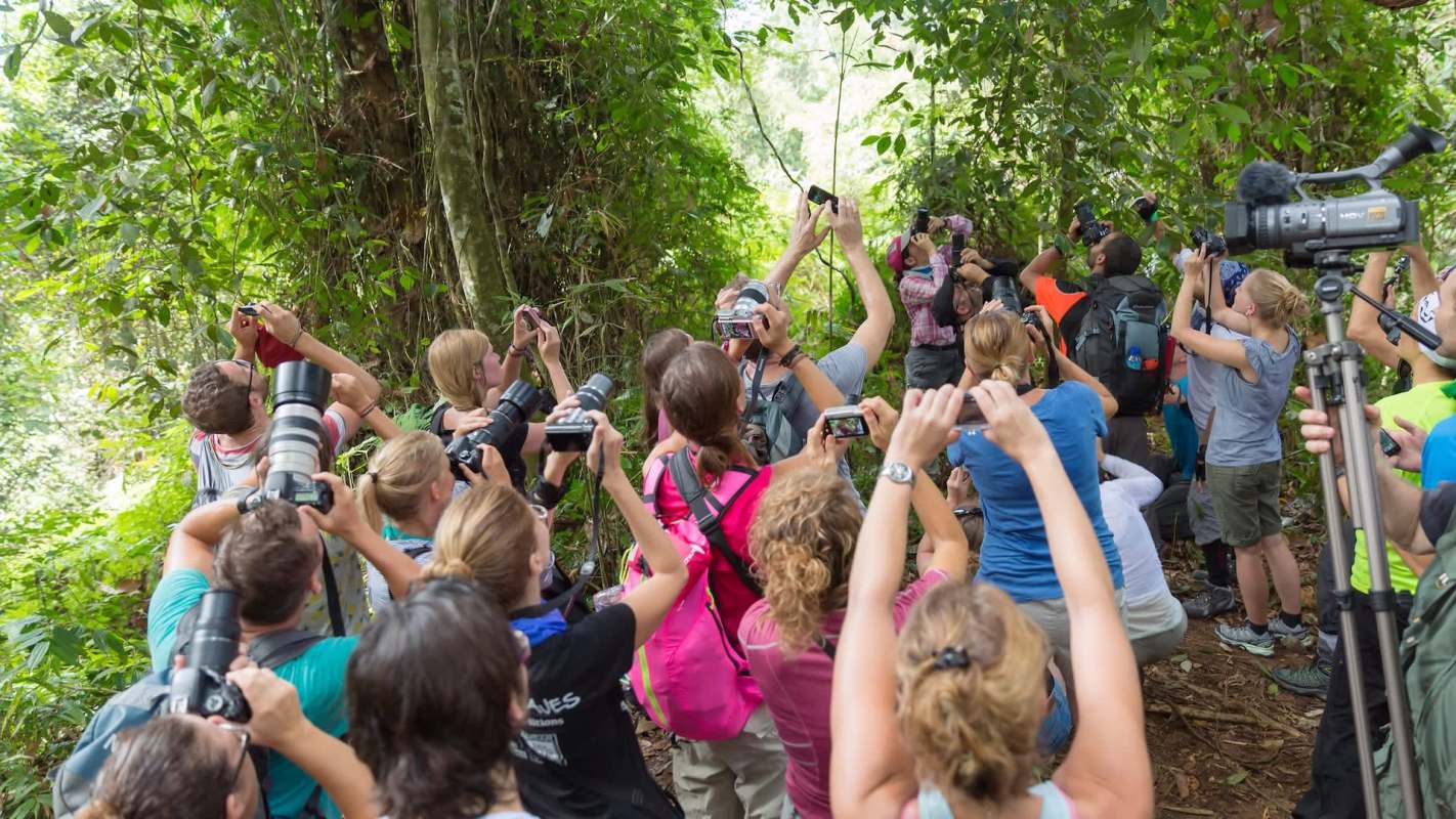 The Convention on International Trade in Endangered Species imposed stricter regulations on the sloth trade to prevent harm to multiple species.