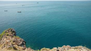 The Sri Lankan Navy stopped an attempt to smuggle birds, confiscating 237 pigeons and detaining the suspects.