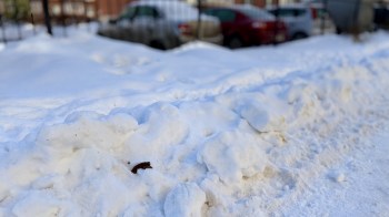 Scientists warn that winter snow can hide a dangerous mix of pollution that is unleashed when temperatures rise.