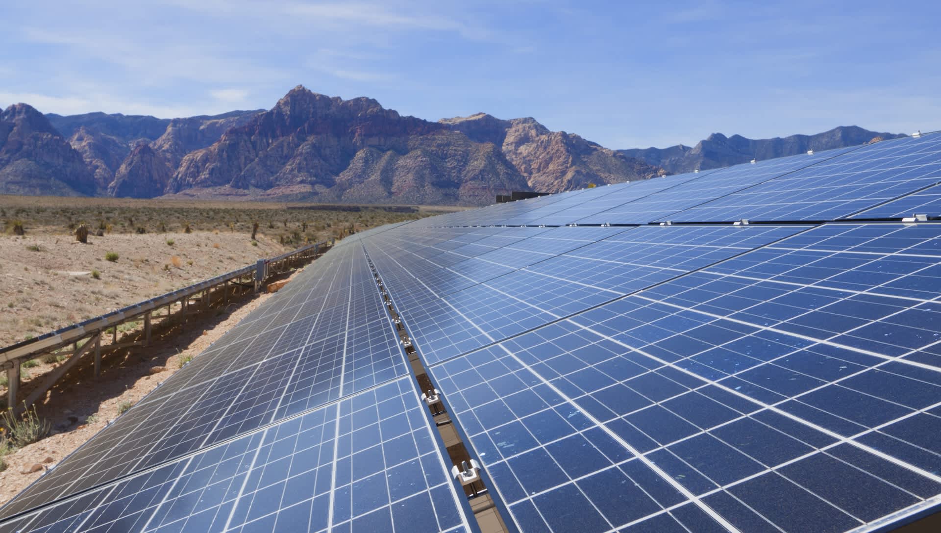 Scientists make groundbreaking discovery about plants grown under solar panels: 'These things can work together'