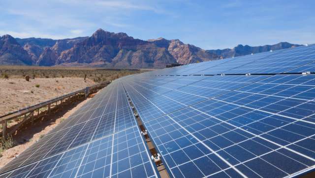 Desert plants can thrive when sharing land with large solar arrays, with even rare plants thriving alongside the panels.