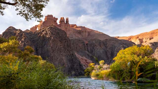 The rare steppe cat was recorded by a camera trap in Kazakhstan.