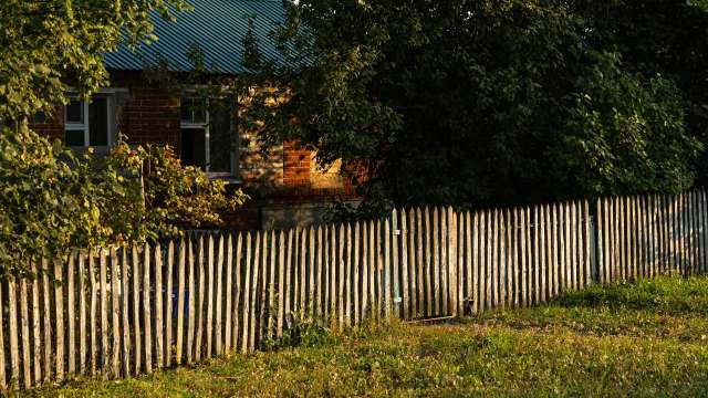 A Redditor shared how they caught their neighbor stealing their trees and got them to pay for replacements.