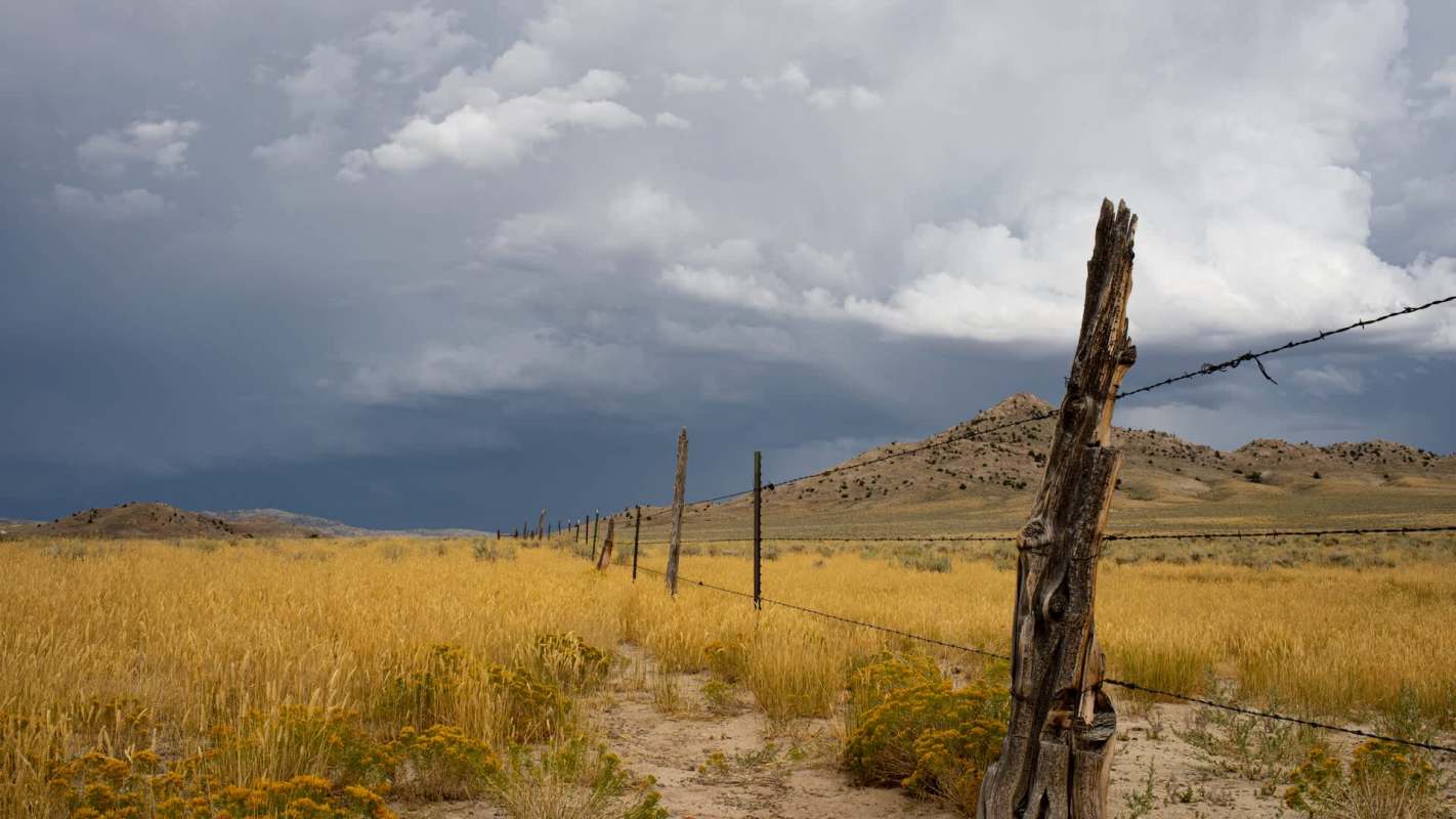 A complex storm gathering strength in the middle of the U.S. has spawned a variety of weather alerts for millions of people.