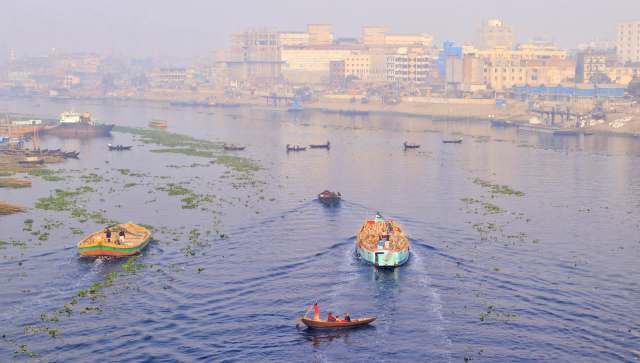 Suckermouth catfish are multiplying rapidly in Bangladesh's Buriganga River and wetlands.